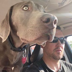 Meet your Posher, Paul